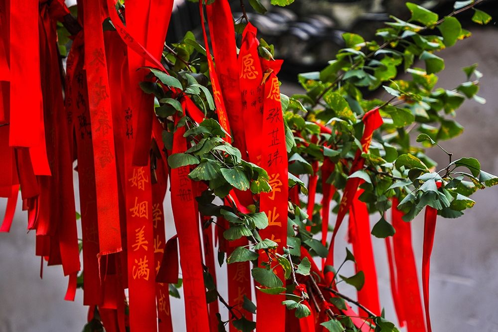 Asia-China-Zhujiajiao (Venice of the East)-Red Ribbons of Wish to a Higher Power